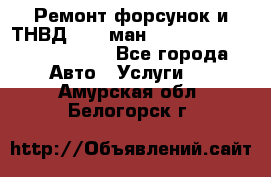 Ремонт форсунок и ТНВД Man (ман) TGA, TGL, TGS, TGM, TGX - Все города Авто » Услуги   . Амурская обл.,Белогорск г.